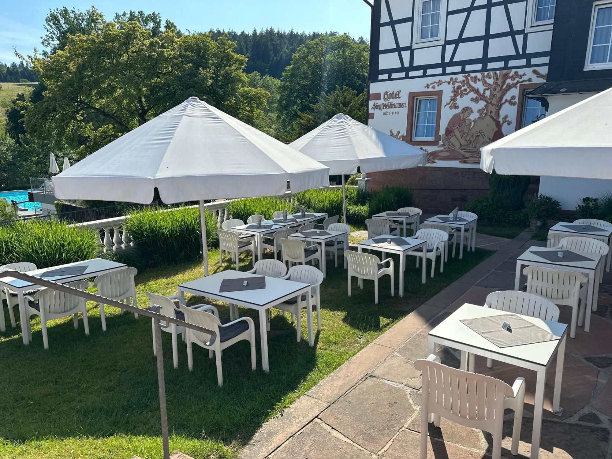 Ringhotel Siegfriedbrunnen Grasellenbach Dış mekan fotoğraf