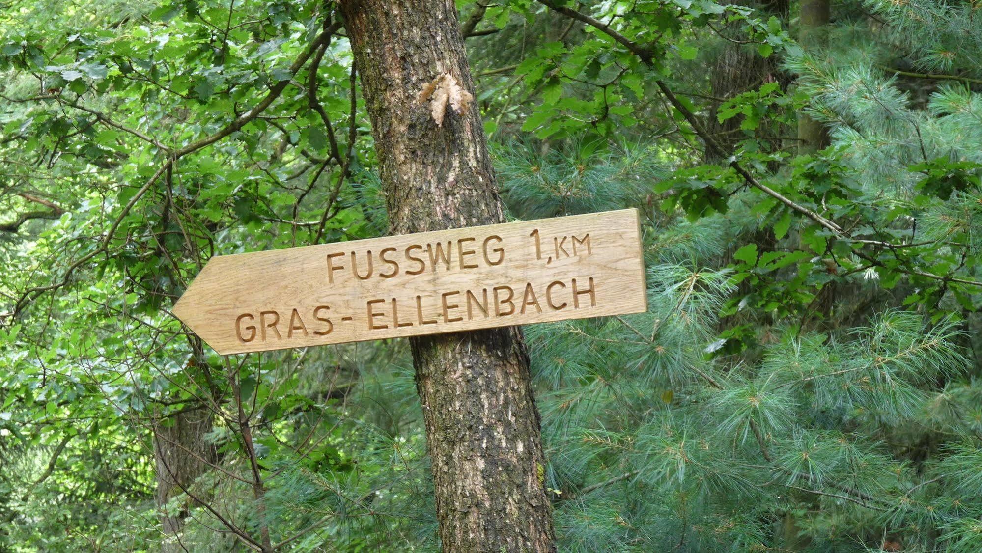 Ringhotel Siegfriedbrunnen Grasellenbach Dış mekan fotoğraf